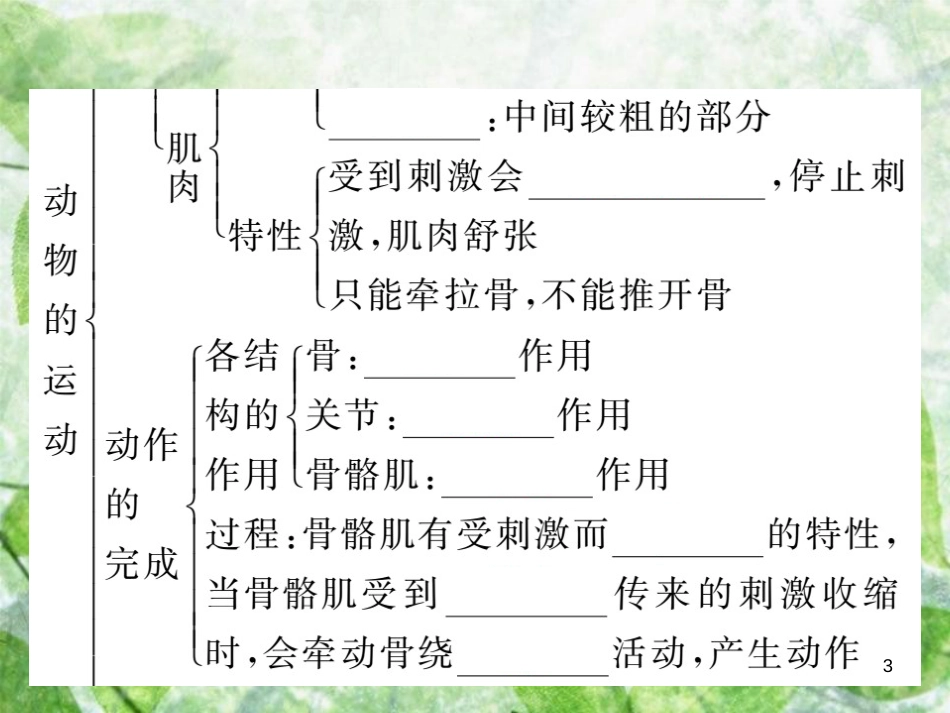 八年级生物上册 第五单元 第二章 第一节 动物的运动习题优质课件 （新版）新人教版_第3页
