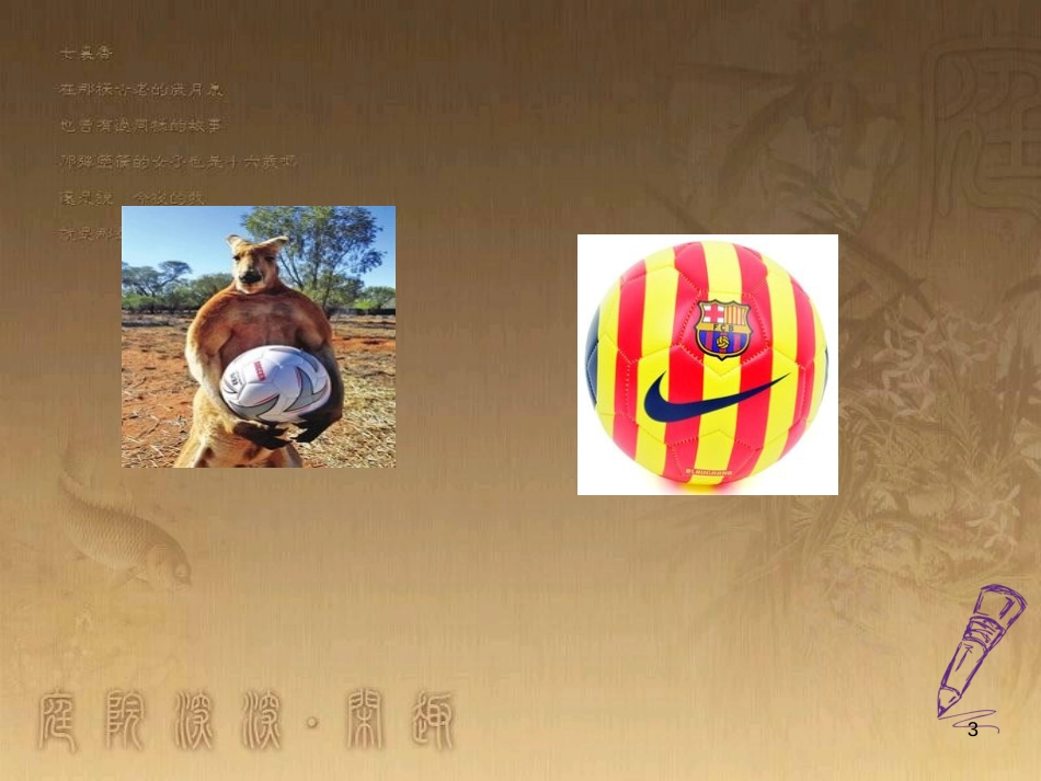 九年级英语上册 Module 10 Australia Unit 2 The game that they like most is Australian football优质课件 （新版）外研版_第3页