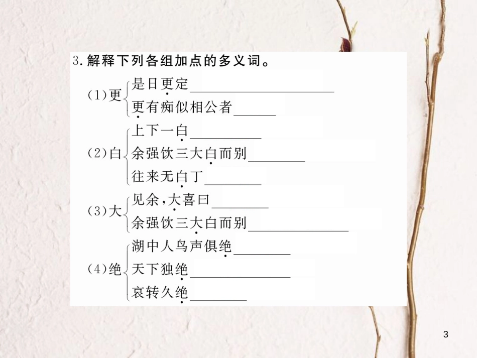 八年级语文下册 第六单元 22 湖心亭看雪习题课件 鄂教版[共18页][共18页]_第3页