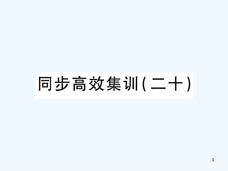 （江西专用）2018年中考地理 同步高效集训（二十）优质课件_第1页