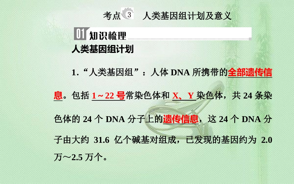 高中生物学业水平复习 专题十 人类遗传病 考点3 人类基因组计划及意义优质课件_第1页
