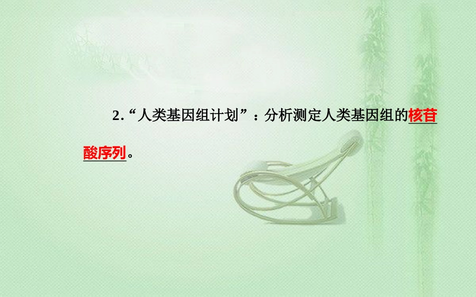 高中生物学业水平复习 专题十 人类遗传病 考点3 人类基因组计划及意义优质课件_第2页