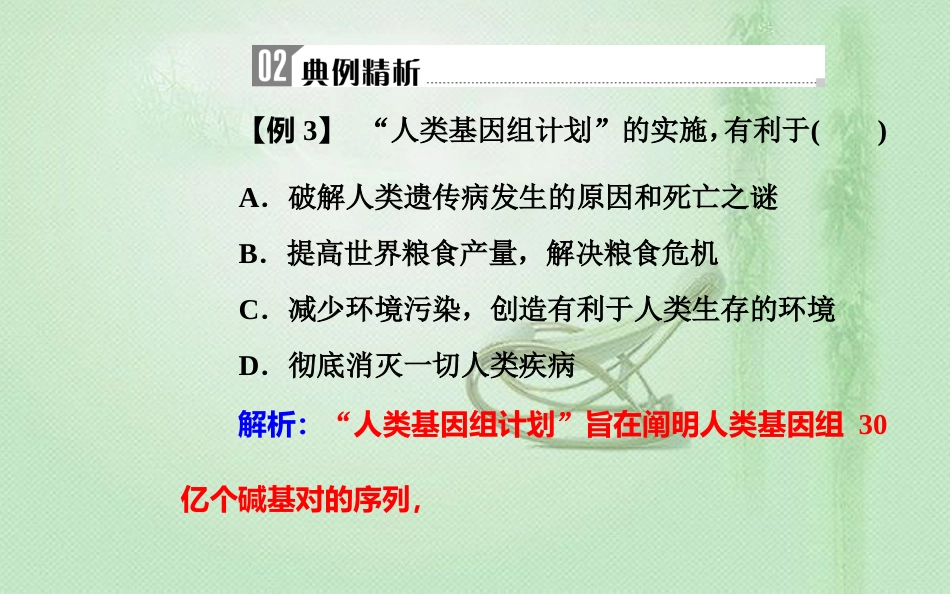 高中生物学业水平复习 专题十 人类遗传病 考点3 人类基因组计划及意义优质课件_第3页