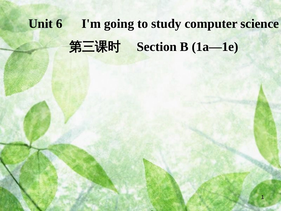 八年级英语上册 Unit 6 I’m going to study computer science（第3课时）Section B（1a-1e）导学优质课件 （新版）人教新目标版_第1页