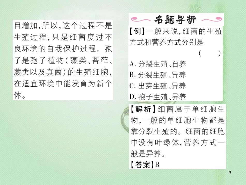 八年级生物上册 第五单元 第4章 第二节 细菌优质课件 （新版）新人教版_第3页