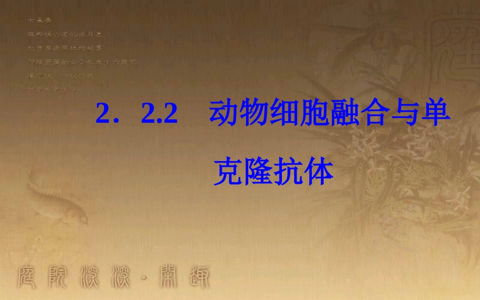 高中生物 专题2 细胞工程 2.2 动物细胞工程 2.2.2 动物细胞融合与单克隆抗体优质课件 新人教版选修3_第2页
