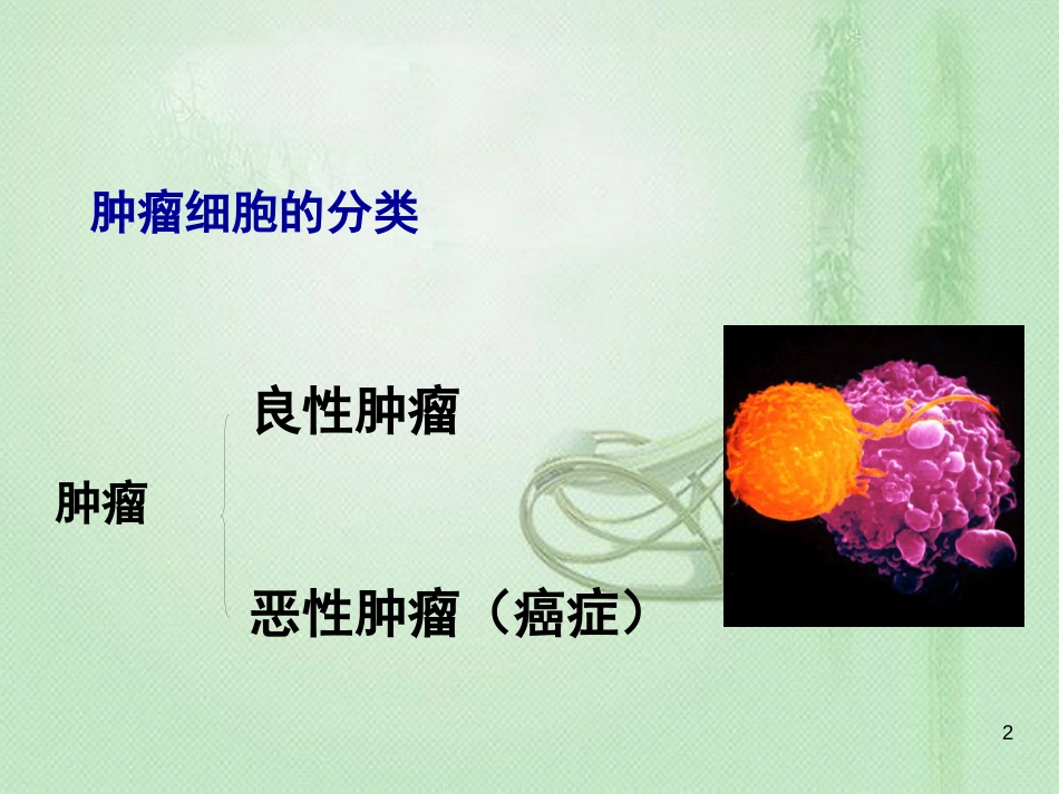 高中生物 专题6.4 细胞的癌变同步优质课件 新人教版必修1_第2页