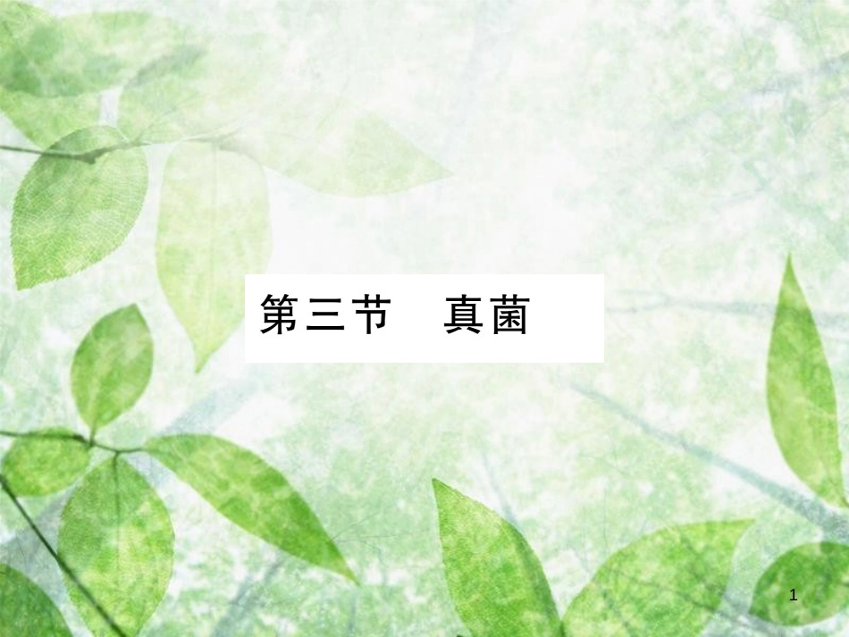 八年级生物上册 第五单元 第四章 第三节 真菌习题优质课件 （新版）新人教版_第1页