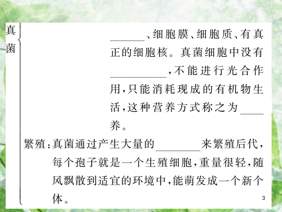 八年级生物上册 第五单元 第四章 第三节 真菌习题优质课件 （新版）新人教版_第3页