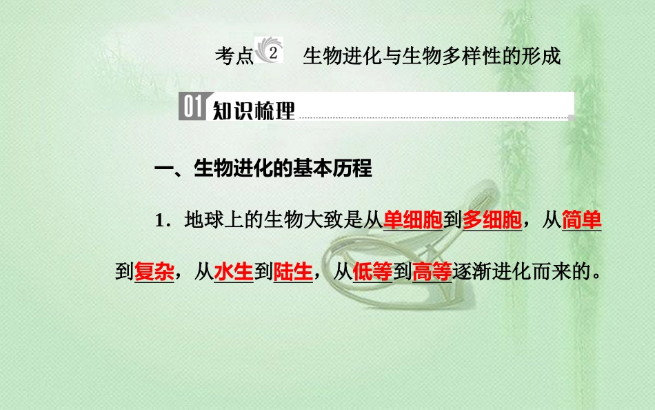 高中生物学业水平复习 专题十一 生物的进化 考点2 生物进化与生物多样性的形成优质课件_第1页