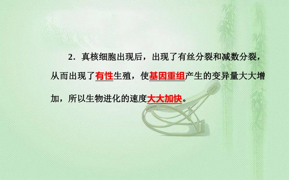 高中生物学业水平复习 专题十一 生物的进化 考点2 生物进化与生物多样性的形成优质课件_第2页
