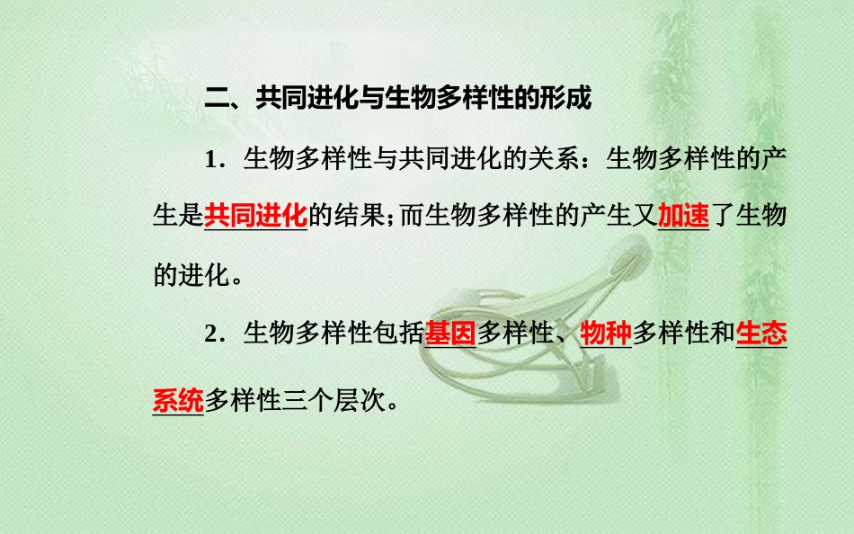 高中生物学业水平复习 专题十一 生物的进化 考点2 生物进化与生物多样性的形成优质课件_第3页