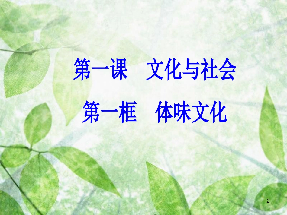 高中政治 第一单元 文化与生活 第一课 文化与社会 第一框 体味文化优质课件 新人教版必修3_第2页