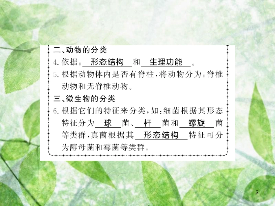 八年级生物上册 第六单元 第1章 第1节 尝试对生物进行分类习题优质课件 （新版）新人教版_第3页