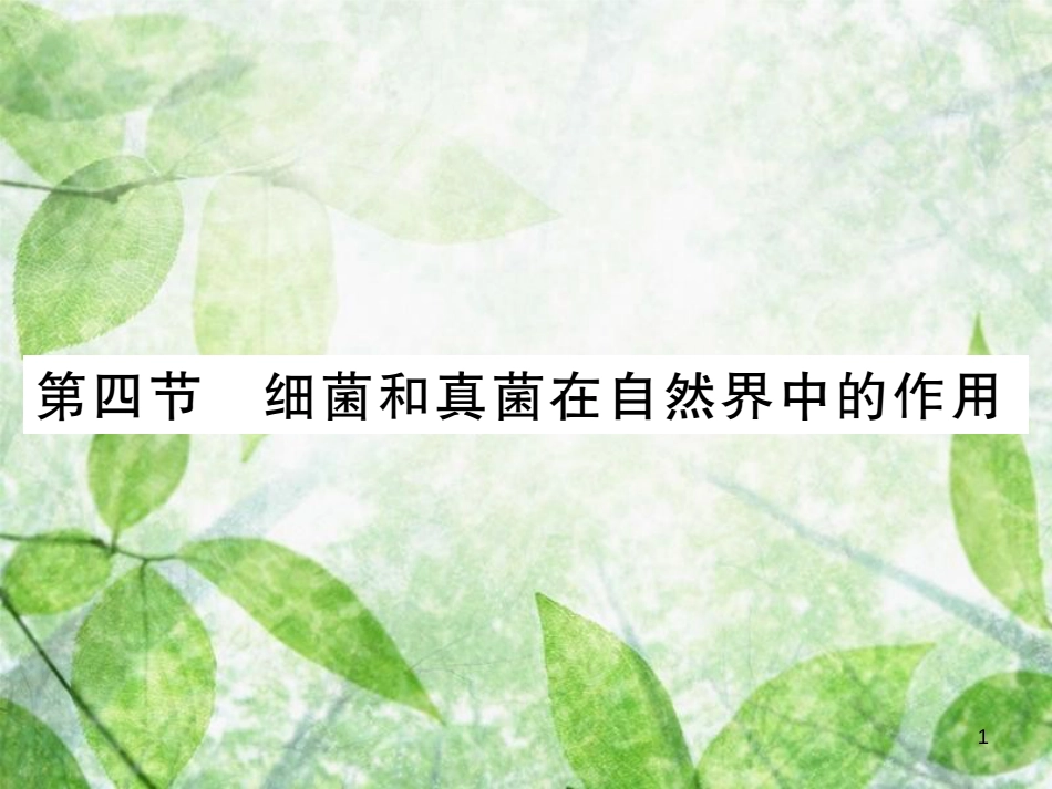 八年级生物上册 第五单元 第四章 第四节 细菌和真菌在自然界中的作用习题优质课件 （新版）新人教版_第1页
