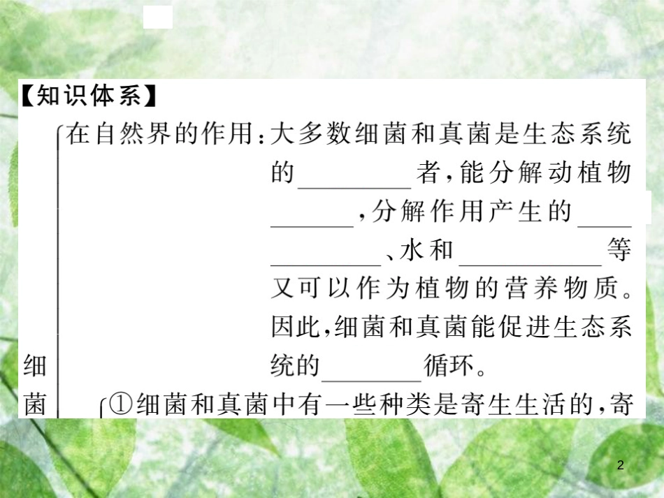 八年级生物上册 第五单元 第四章 第四节 细菌和真菌在自然界中的作用习题优质课件 （新版）新人教版_第2页