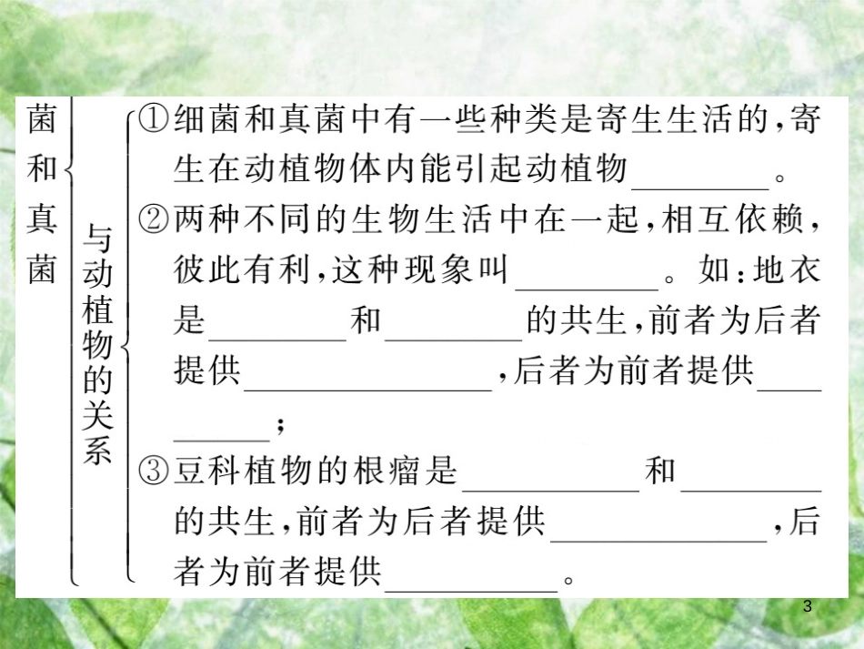 八年级生物上册 第五单元 第四章 第四节 细菌和真菌在自然界中的作用习题优质课件 （新版）新人教版_第3页