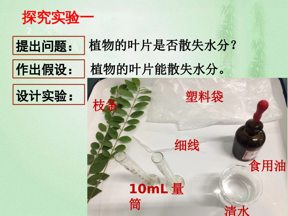 八年级生物上册 第三单元 第四章 第二节 蒸腾作用优质课件 （新版）冀教版_第2页