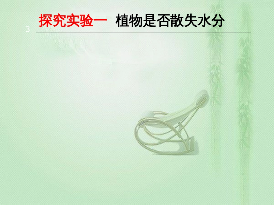 八年级生物上册 第三单元 第四章 第二节 蒸腾作用优质课件 （新版）冀教版_第3页