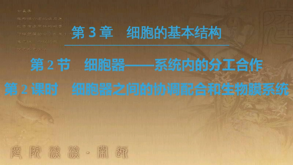 高中生物 第三章 细胞的基本结构 第2节 第2课时 细胞器之间的协调配合和生物膜系统优质课件 新人教版必修1_第1页