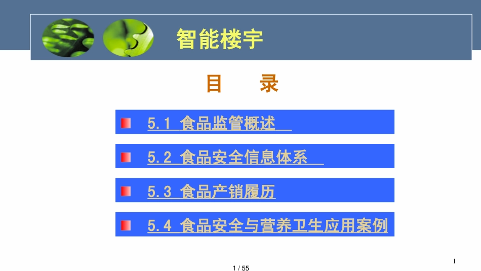 第五章物联网在食品安全领域的应用57_第1页