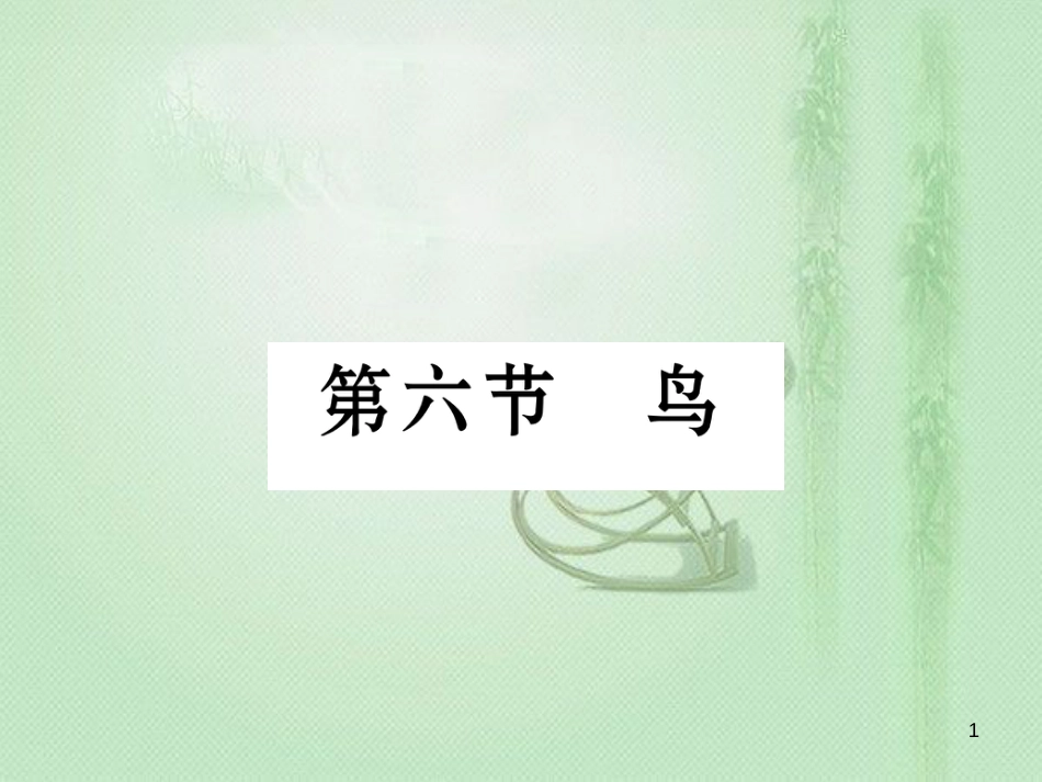 八年级生物上册 第五单元 第1章 第六节 鸟优质课件 （新版）新人教版_第1页
