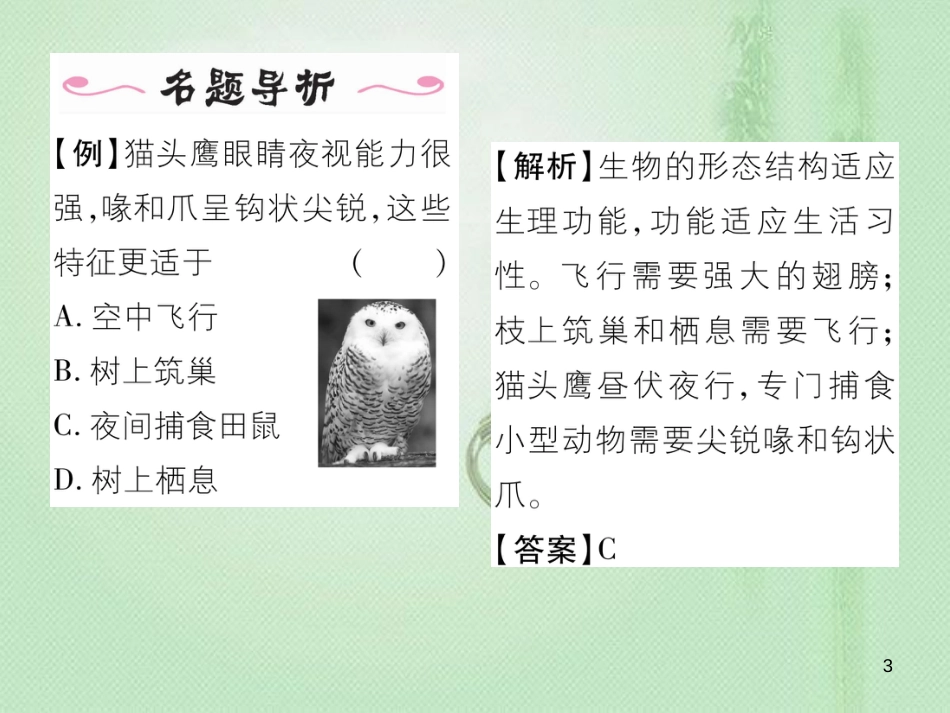 八年级生物上册 第五单元 第1章 第六节 鸟优质课件 （新版）新人教版_第3页