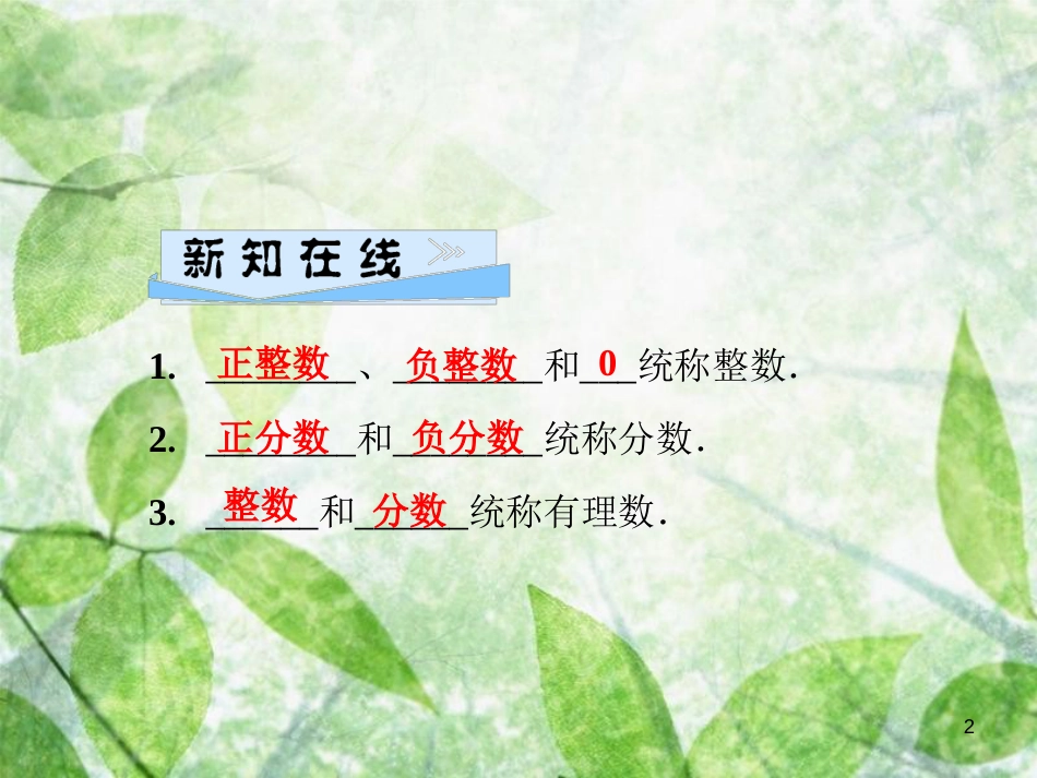 七年级数学上册 第2章 有理数 2.1 有理数 第2课时 有理数优质课件 （新版）华东师大版_第2页