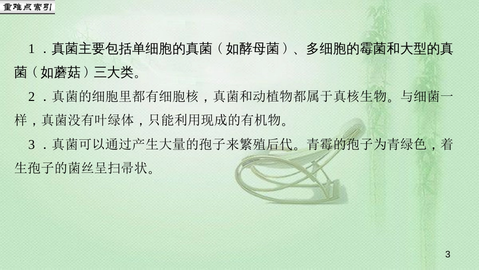 八年级生物上册 第五单元 第四章 第三节 真菌优质课件 （新版）新人教版_第3页