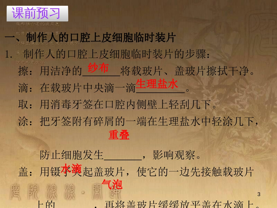 七年级生物上册 第二单元 第一章 第三节 动物细胞优质课件 （新版）新人教版_第3页