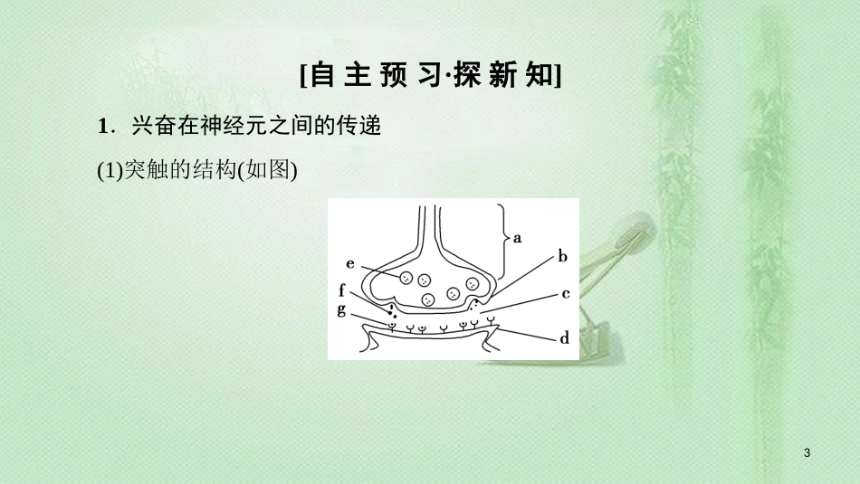 高中生物 第二章 动物和人体生命活动的调节 第1节 通过神经系统的调节（二）优质课件 新人教版必修3_第3页