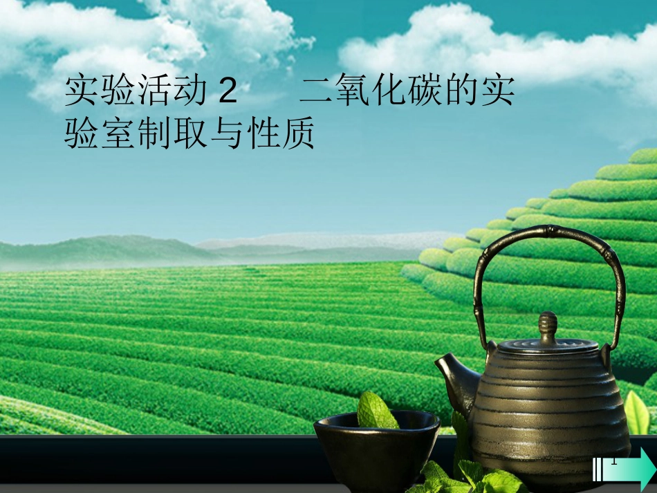 九年级化学上册 第六单元 碳和碳的氧化物 实验活动2 二氧化碳的实验室制取与性质课堂导学优质课件 （新版）新人教版_第1页