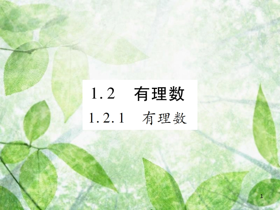 七年级数学上册 第一章 有理数 1.2 有理数 1.2.1 有理数讲解优质课件 （新版）新人教版_第1页