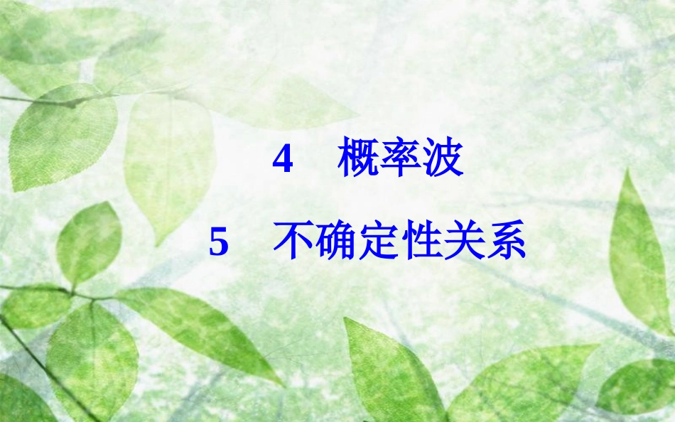 高中物理 第十七章 波粒二象性 4 概率波 5 不确定性关系优质课件 新人教版选修3-5_第2页