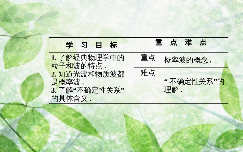 高中物理 第十七章 波粒二象性 4 概率波 5 不确定性关系优质课件 新人教版选修3-5_第3页