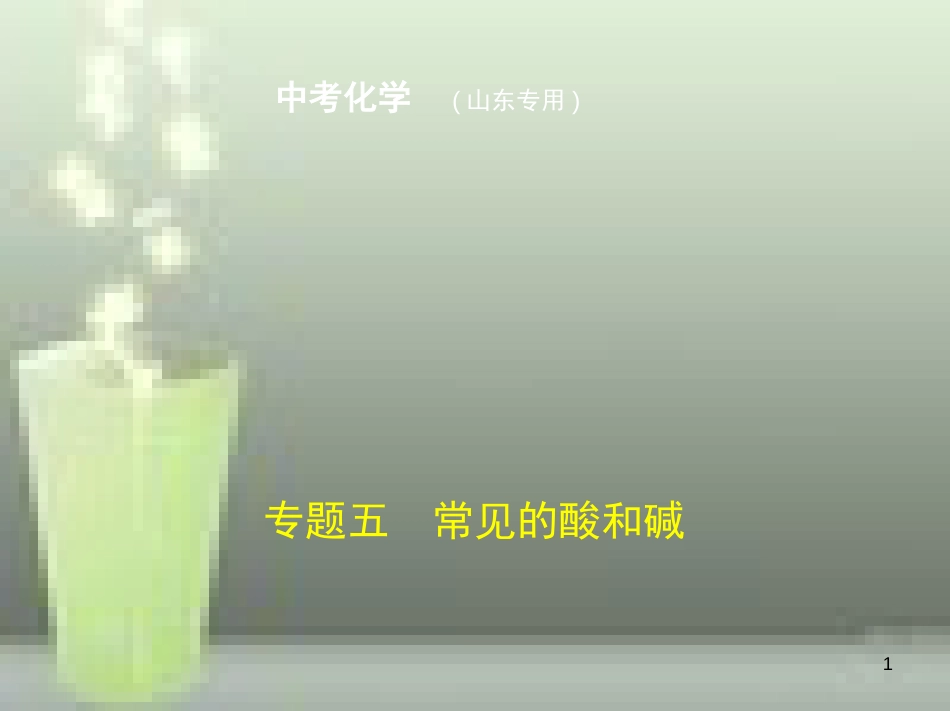 （山东专版）2019年中考化学复习 专题五 常见的酸和碱（试卷部分）优质课件_第1页