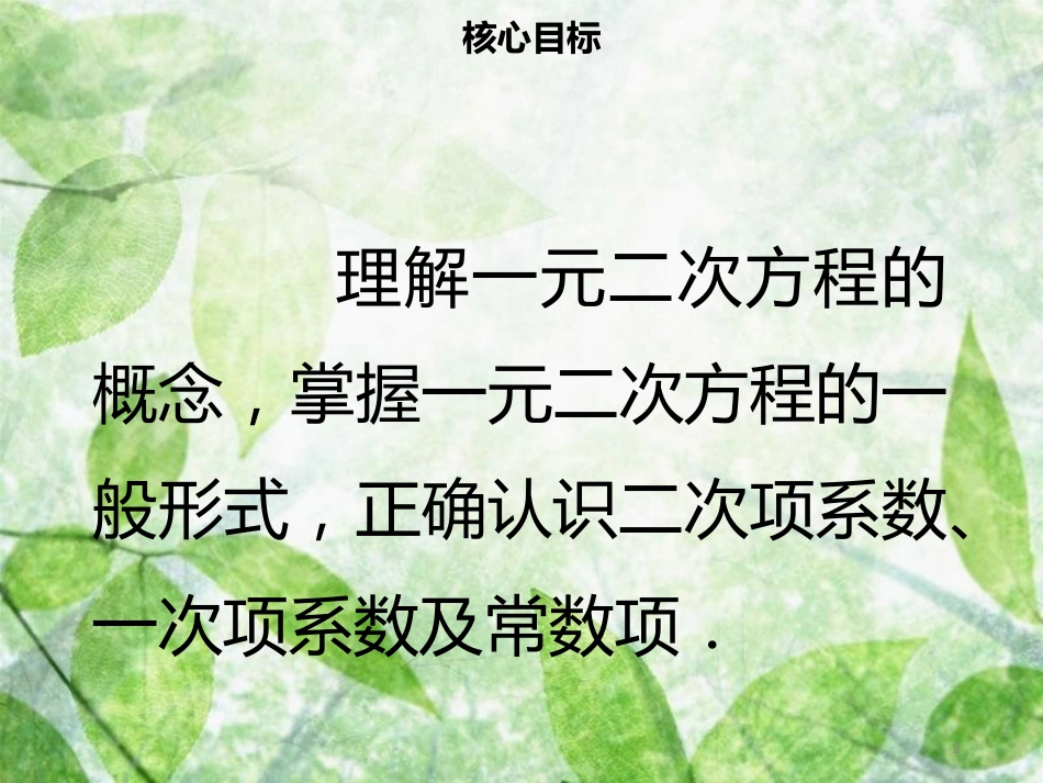 九年级数学上册 第二十一章 一元二次方程 21.1 一元二次方程导学优质课件 （新版）新人教版_第2页