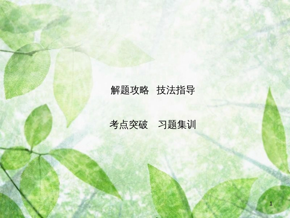 高考英语大一轮复习 第二部分 语法考点精讲 第一节 冠词与代词优质课件 新人教版_第1页