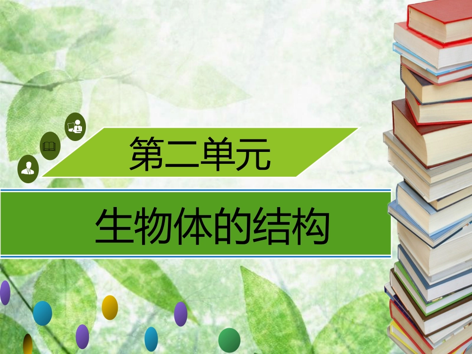 七年级生物上册 第二单元 第4章 第1节 细胞分化形成组织习题优质课件 （新版）北师大版_第1页