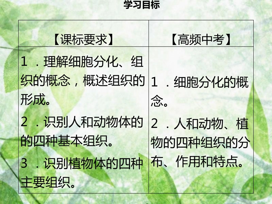 七年级生物上册 第二单元 第4章 第1节 细胞分化形成组织习题优质课件 （新版）北师大版_第3页