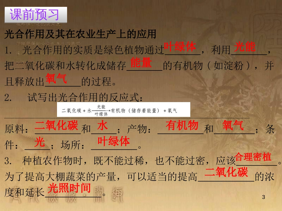 七年级生物上册 第三单元 第五章 第一节 光合作用吸收二氧化碳释放氧气优质课件 （新版）新人教版_第3页