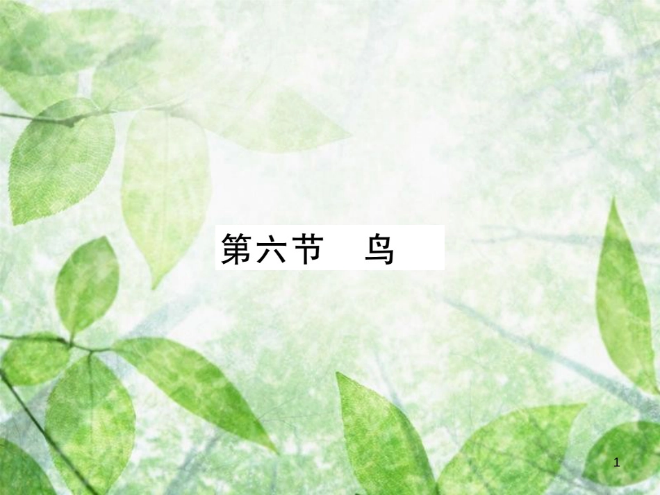 八年级生物上册 第五单元 第一章 第六节 鸟习题优质课件 （新版）新人教版_第1页