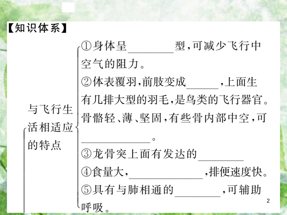 八年级生物上册 第五单元 第一章 第六节 鸟习题优质课件 （新版）新人教版_第2页