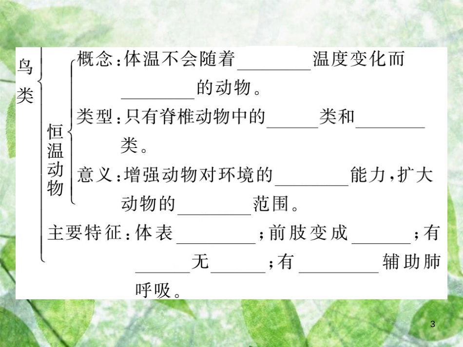 八年级生物上册 第五单元 第一章 第六节 鸟习题优质课件 （新版）新人教版_第3页