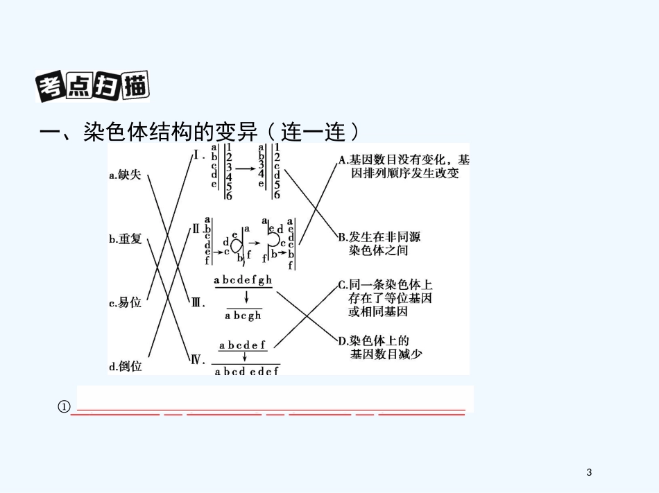 （北京专用）2019版高考生物一轮复习 第19讲 染色体变异与育种优质课件_第3页