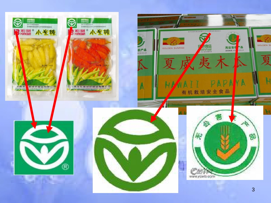高中生物 第一单元 生物科学与农业 第一章 生物科学与动植物生产 1.6 绿色食品（1）课件 中图版选修2_第3页