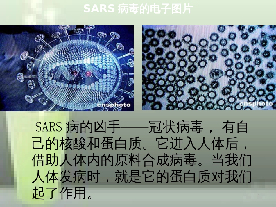 高中化学 第四章 生命中的基础有机化学物质 4.3.2 蛋白质和核酸优质课件 新人教版选修5_第3页