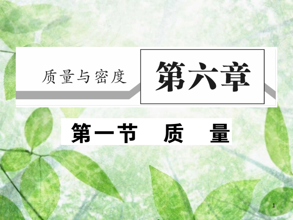 八年级物理上册 第六章 第1节 质量习题优质课件 （新版）教科版_第1页