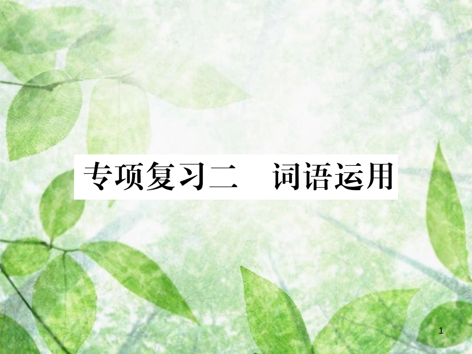 七年级语文上册 专项复习二 词语运用习题优质课件 新人教版_第1页