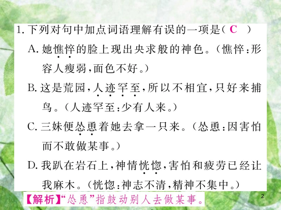 七年级语文上册 专项复习二 词语运用习题优质课件 新人教版_第2页